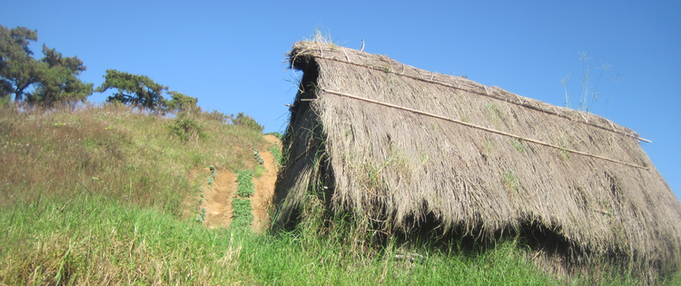Grasshouse